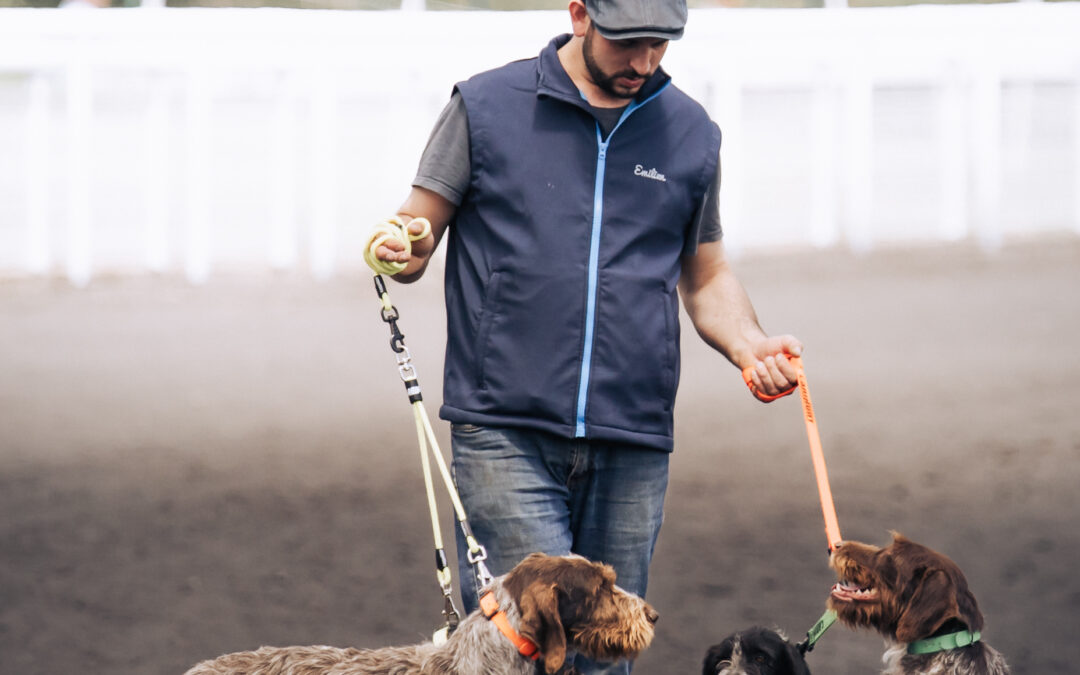 Présentation des animations – avec l’ensemble des chiens