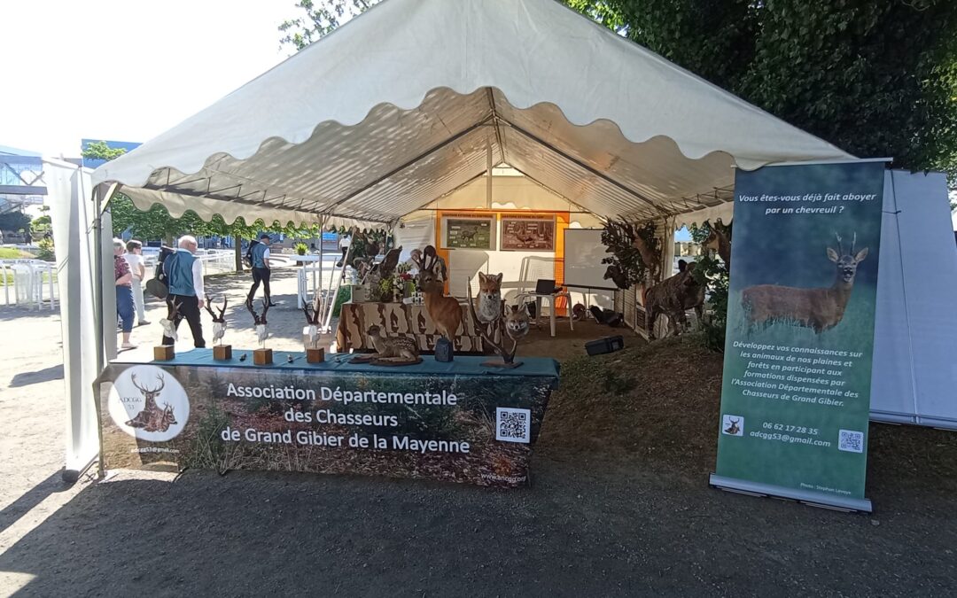Présence de la fédération 53 des chasseurs – 8 juin 2025