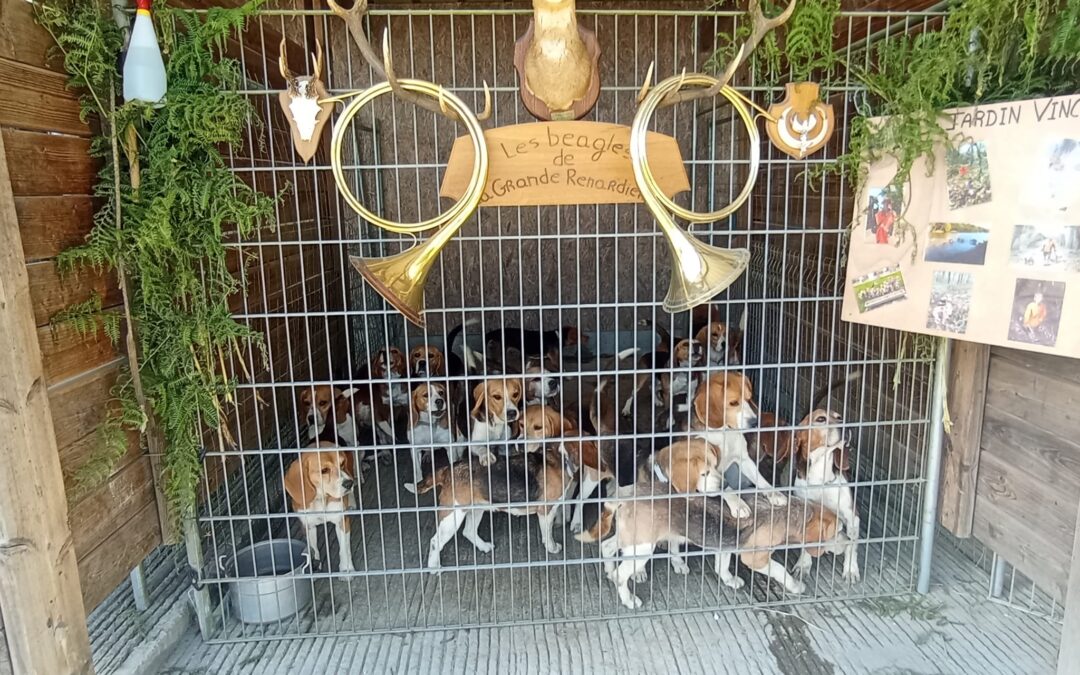 Inscriptions meutes de chiens, 3,2,1 c’est à vous !!!