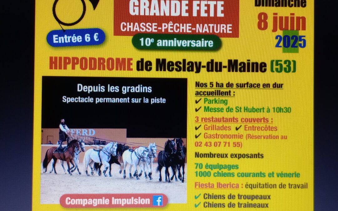 Affiche officielle 10è anniversaire