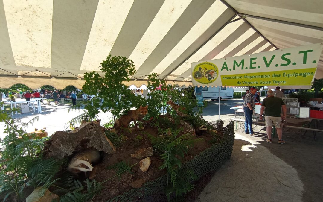 AMVEST