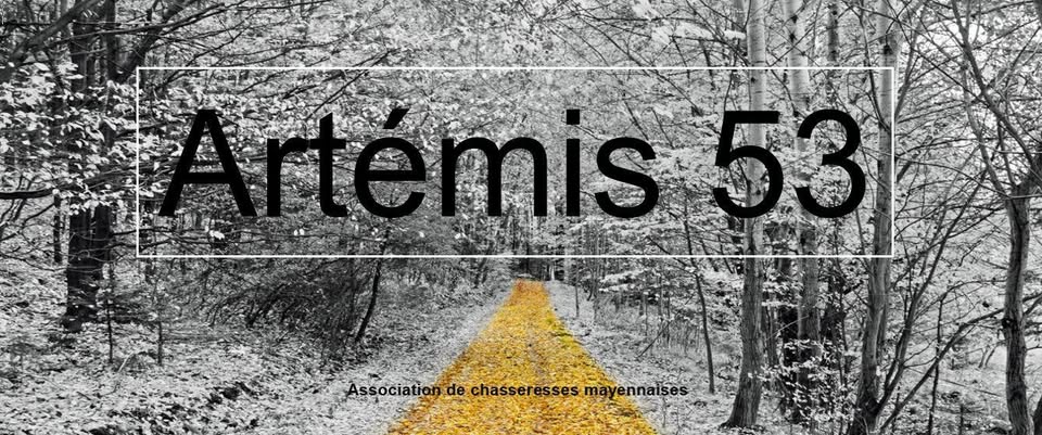 ARTEMIS 53 présent le Dimanche 8 juin 2025