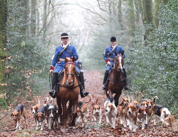 Equipage du saut du cerf
